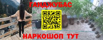 мдпв Ирбит