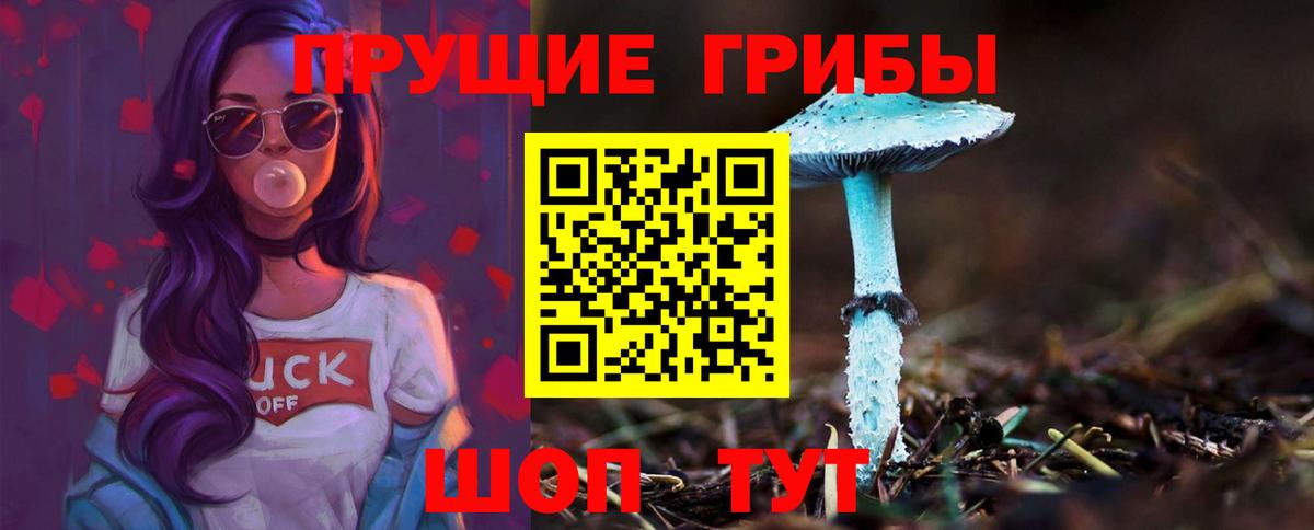 где продают наркотики  Вход с VPN  Электрогорск  Галлюциногенные грибы мицелий 